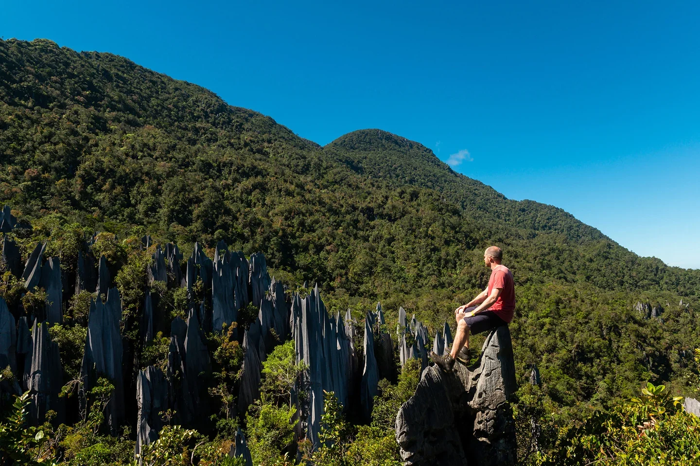 A tourist explores the Gunung Mulu National Park in Sarawak. Photo credit: iStock/stockstudioX
